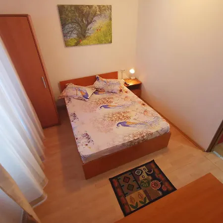 Apartament Faleza 4 *